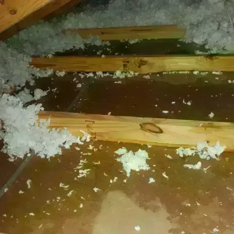 Attic Water Damage in Fountain County, IN