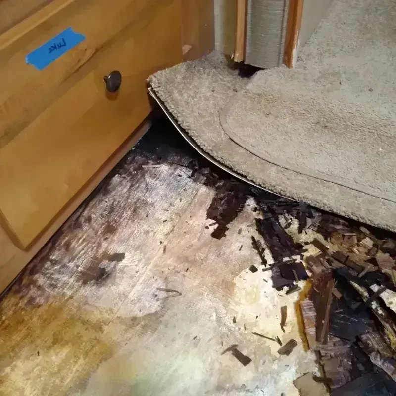 Wood Floor Water Damage in Fountain County, IN